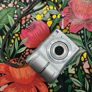 Olympus FE-210 Silver Digital Camera 7.1MP 3x Optical Zoom Y2K Point and Shoot